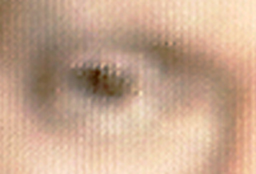 Rob Olson right eye frame 00:14